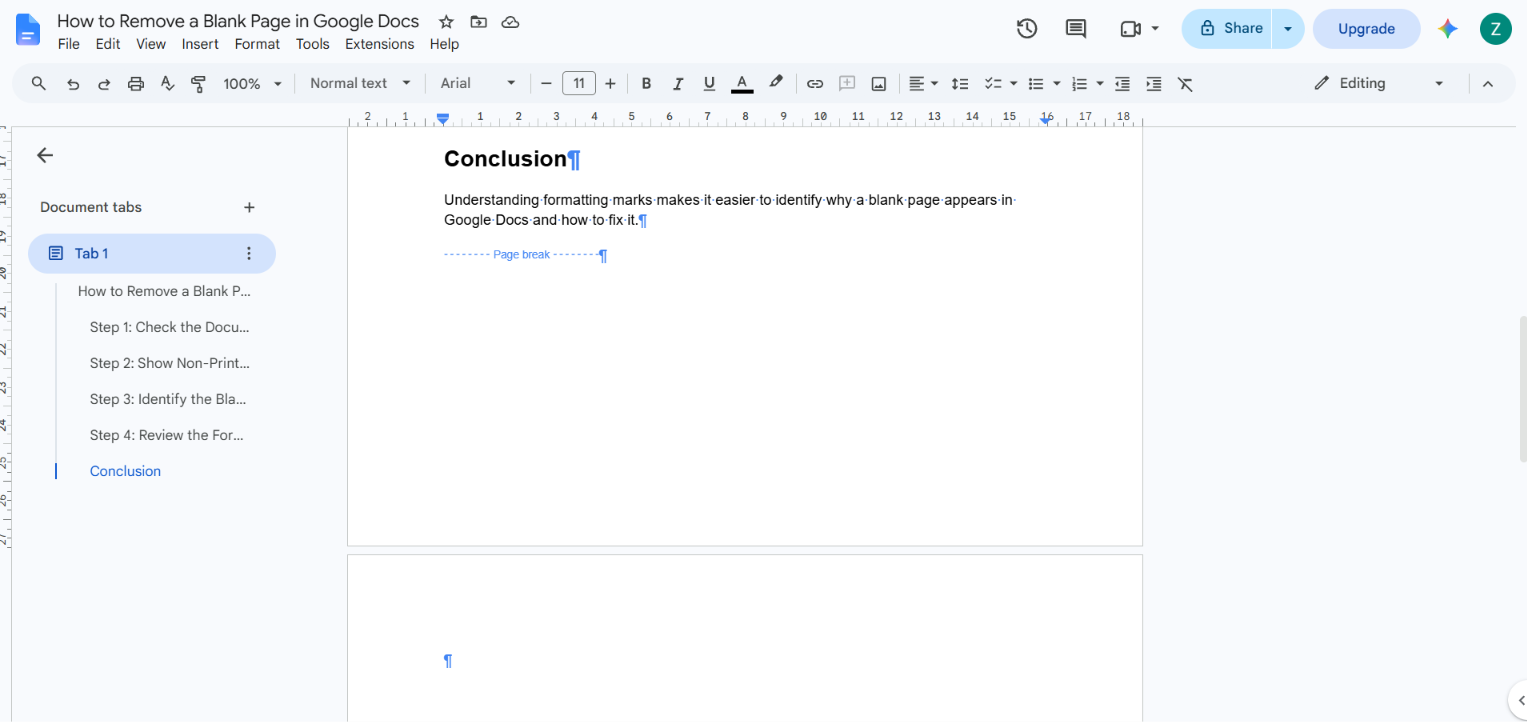 Google Docs page break marker above an otherwise empty page